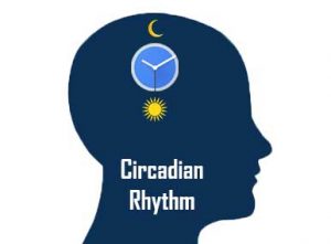 Understanding Circadian Rhythm and How Tuning LEDs Can Increase Health & Wellness