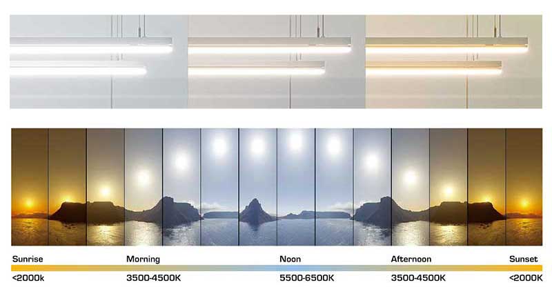 Tunable White LED Linear Pendant Light