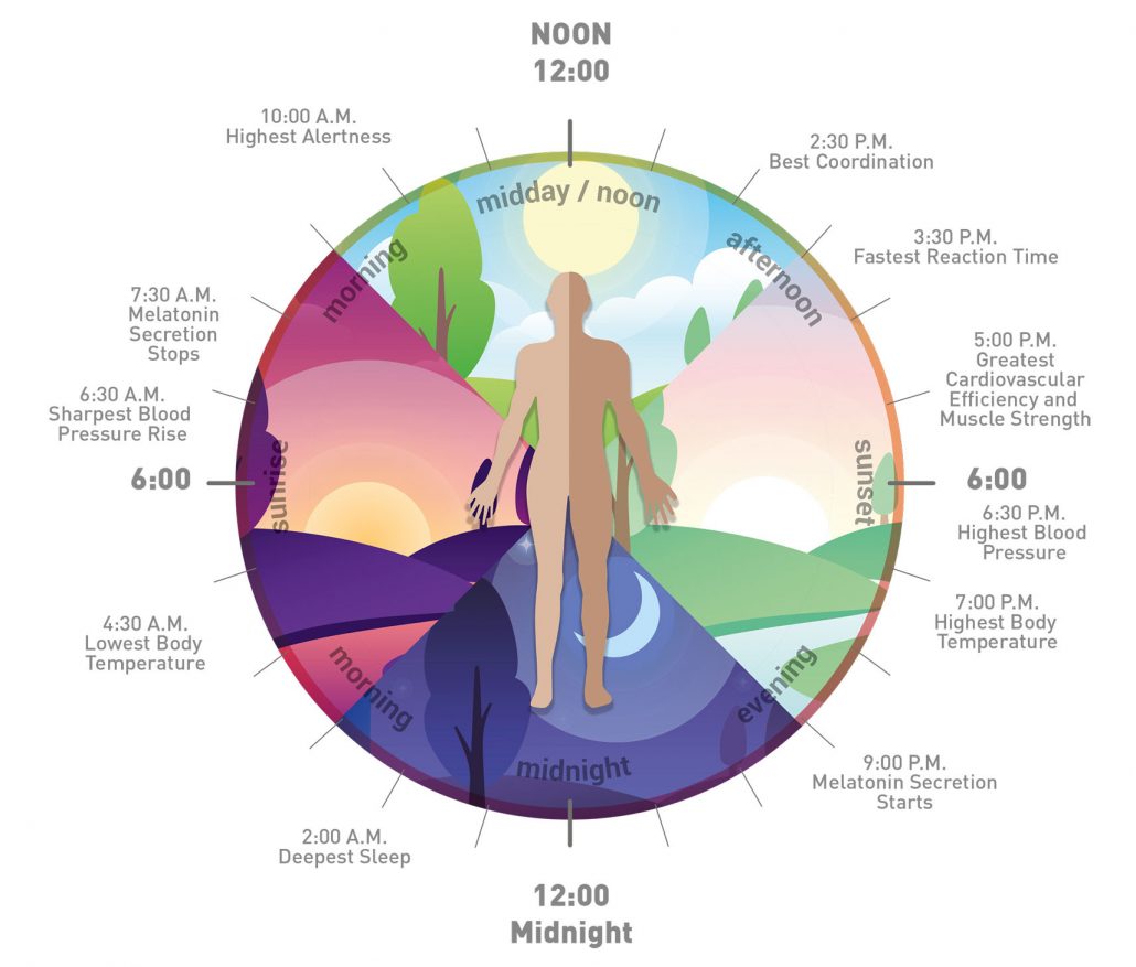 Circadian lighting store